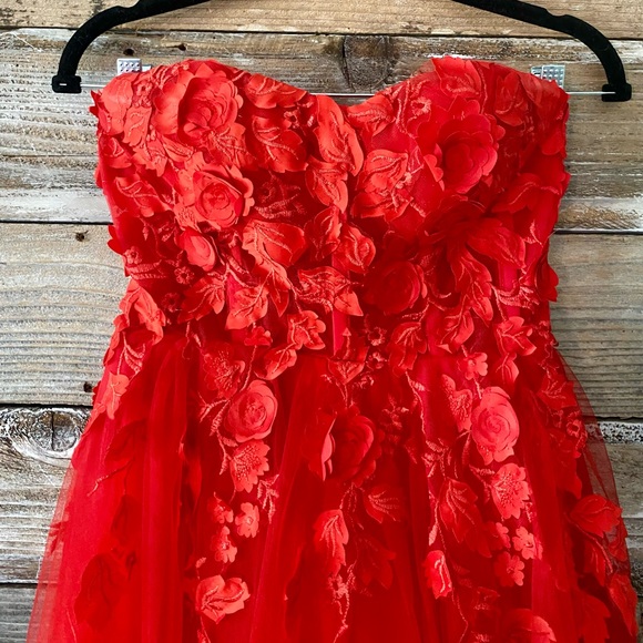 HEBEOSaStrapless 3D Floral Appliqué Gown ❤️ | Corset Bodice | Tulle Ballgown - Picture 3 of 7